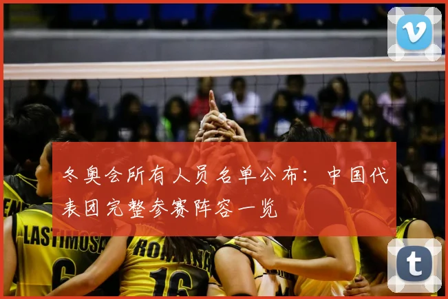 冬奥会所有人员名单公布：中国代表团完整参赛阵容一览